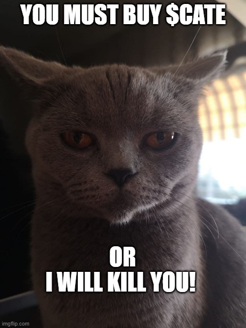 My cat has a message for you!