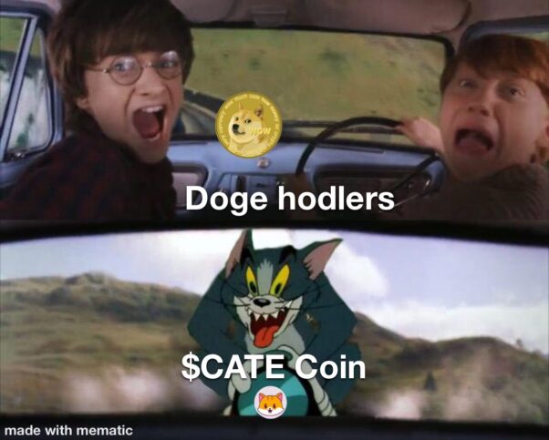 Doge hodlers! The Cate is coming
