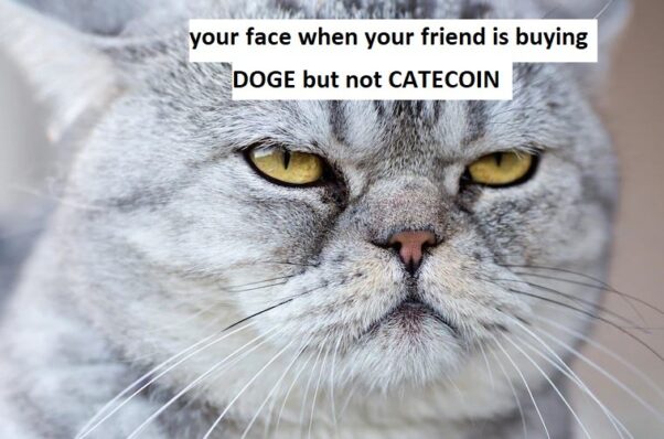 Your friend when your friend is buying DOGE but not CATECOIN