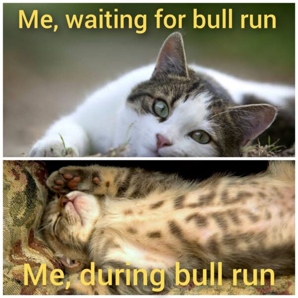 When bull run happens