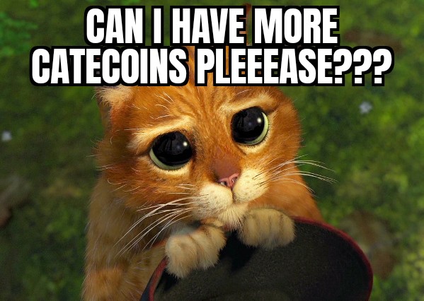 More Catecoins Please?
