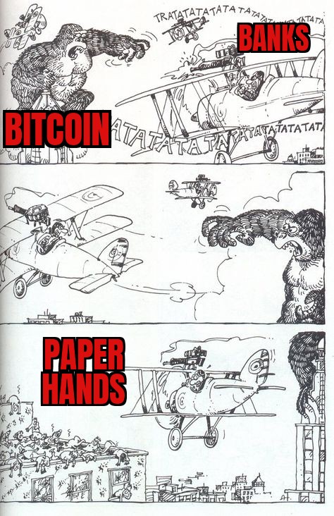 Bitcoin is not for paper hands