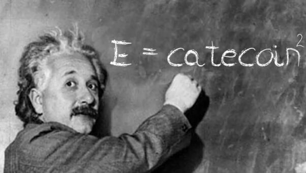 Albert Einstein E= CateCoin2