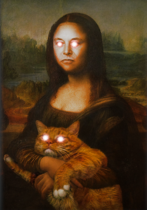 Elon Lisa and her sweet cat cate.