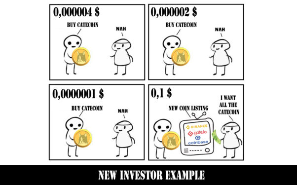 New İnvestor Example