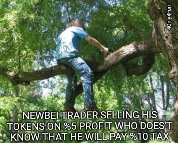 Newbie Traders First Experience