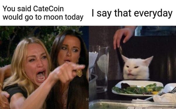 Women yelling CateCoin