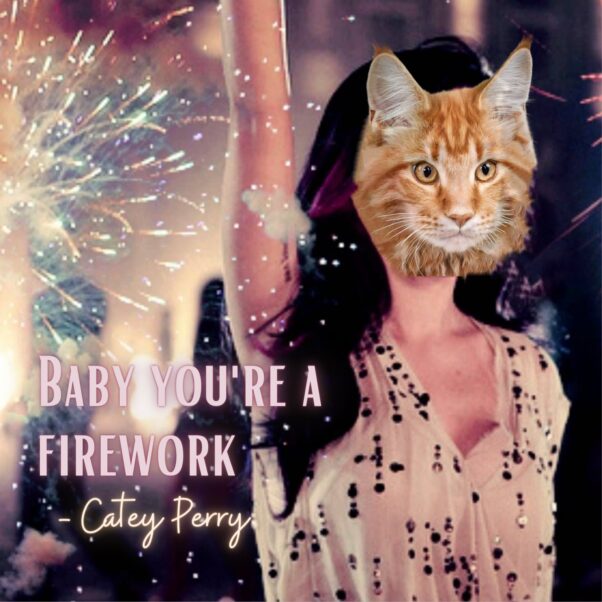 Catey Perry: You’re a firework!