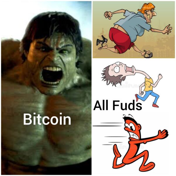 Bitcoin Vs Fuds
