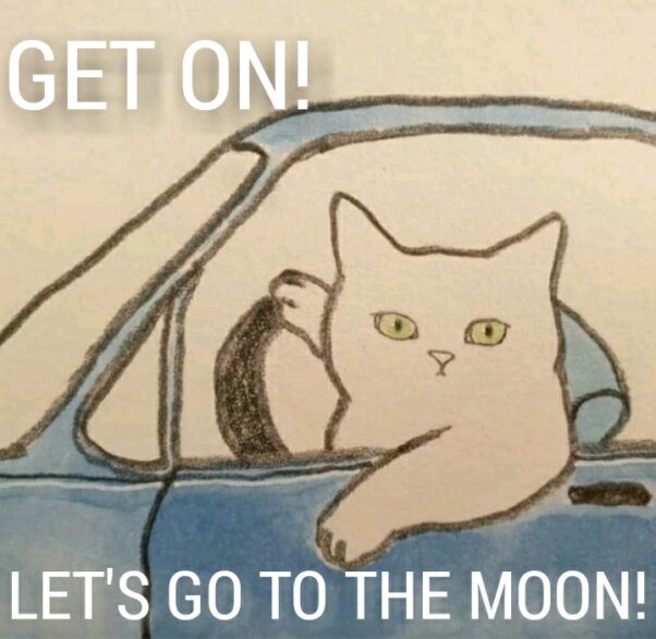 Get on! To the Moon.