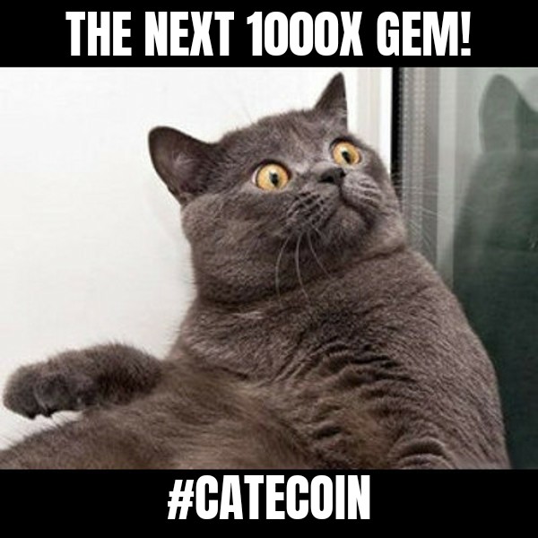 Catecoin – the next 1000x gem!