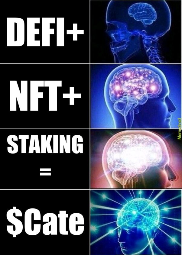 Defi+NFT+Staking=CateCoin