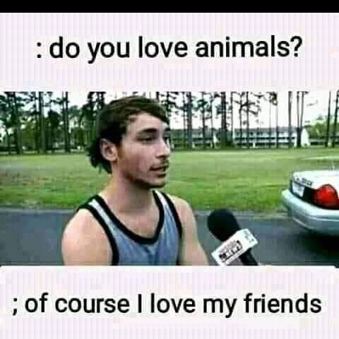 Yes I Love Animals