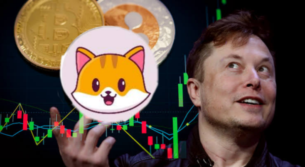 Hey Elon can you say catecoin we will try something ??