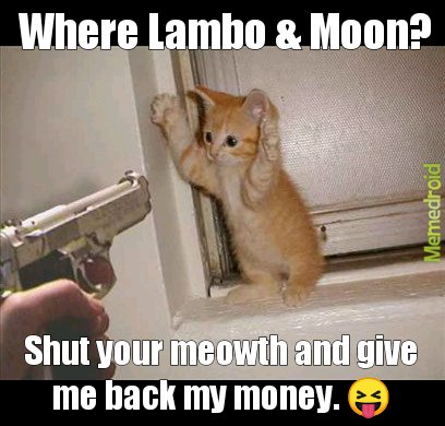 When Lambo and Moon Fails
