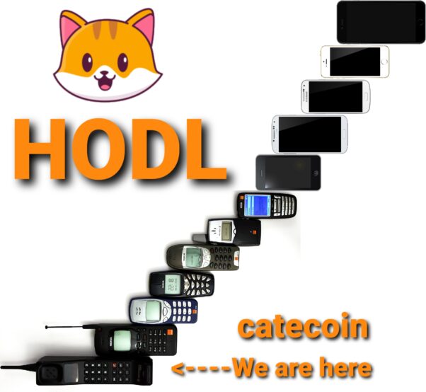 Why is Hodling important?