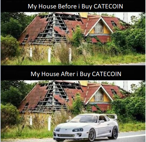 My House after i buy Catecoin