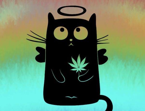 The Holy Stoner Cat