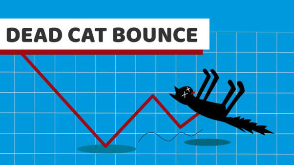 I DONT LIKE TO MOON. I PREFER THE DEAD CATE BOUNCE!