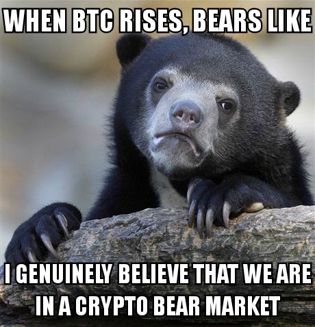 Bears in Crypto Market