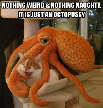 Nothing Weird and Nothing Naughty. It is just an OctoPussy.