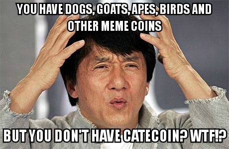 CateCoin is a must have memecoin!