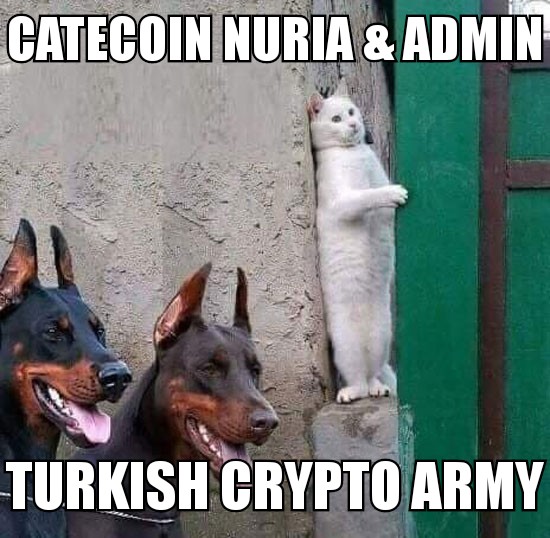 CateCoin Admin and Turks Crypto Army Relationship