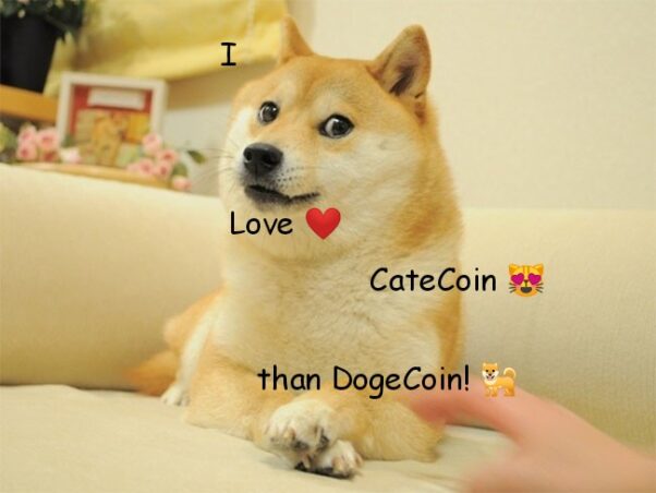 I love CateCoin than DogeCoin!