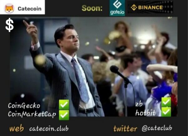 Coming Soon ⚡ Catecoin ?