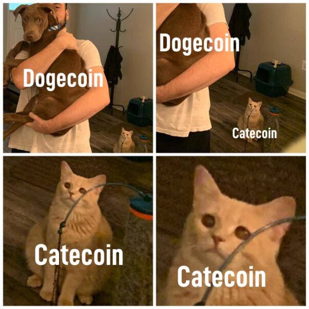 Dogecoin  vs CateCoin