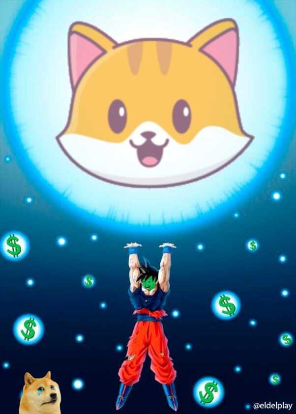 The amazing Genkicate