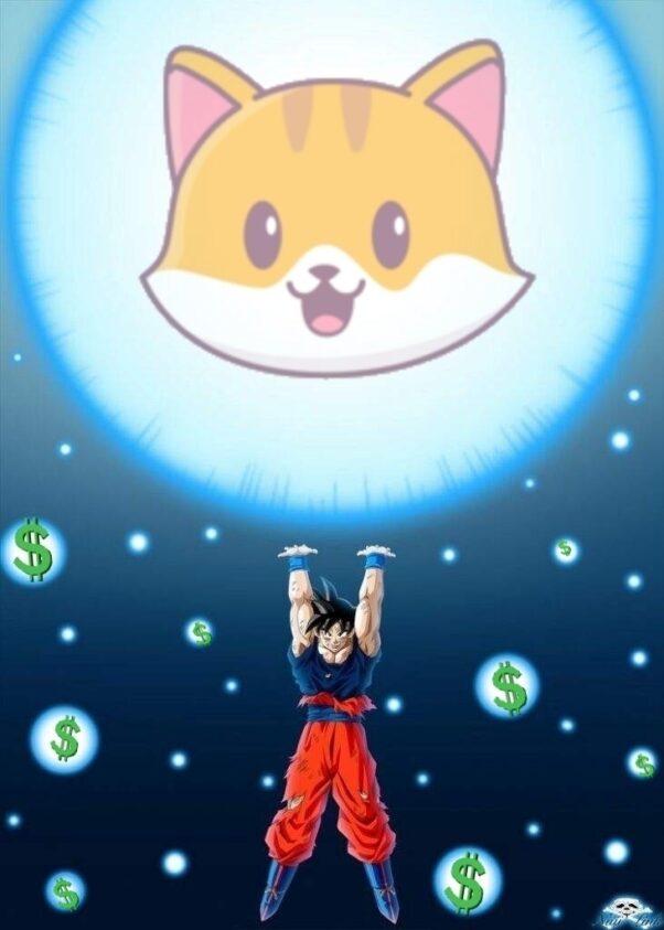 The amazing Genkicate