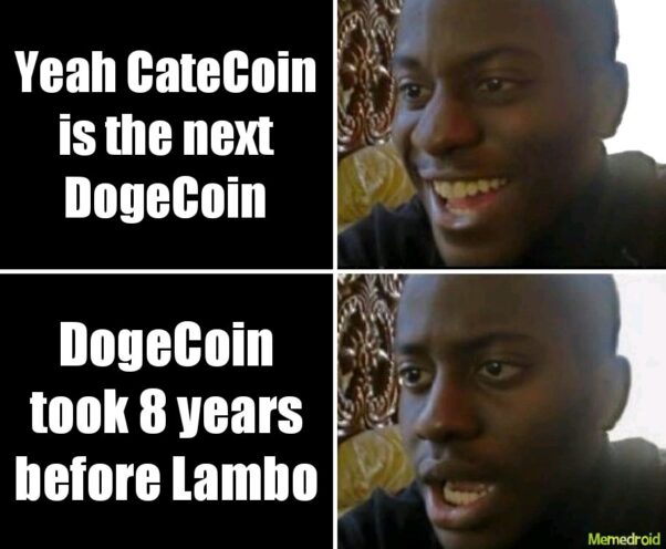 CateCoin is the next DogeCoin