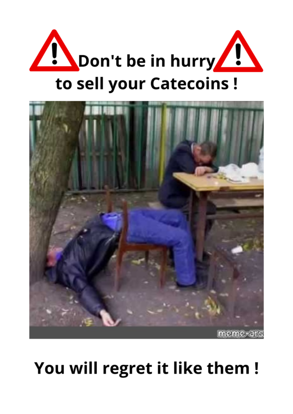 Do not hurry to sell your coins !