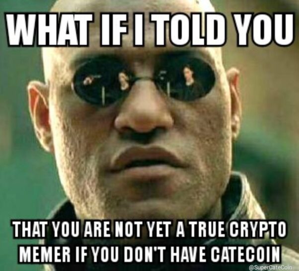 Be A True Crypto Memer