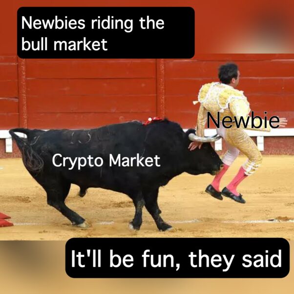 Bull Market? it'll be fun they said!
