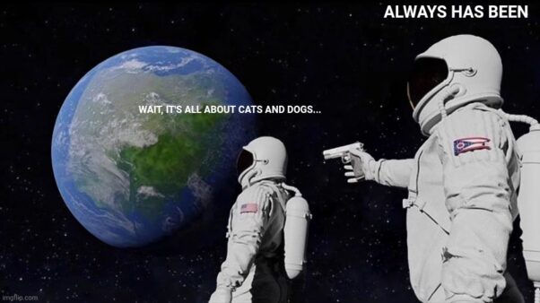 Always been about cats and dogs