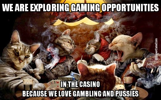 We Are Exploring Gaming Opportunities