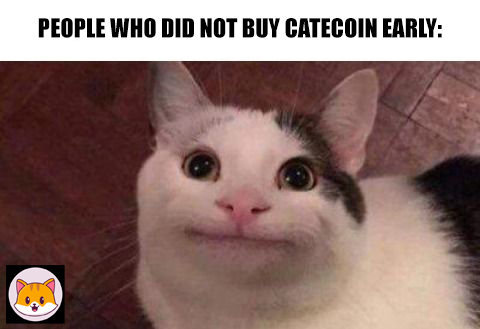 did u buy catecoin already?