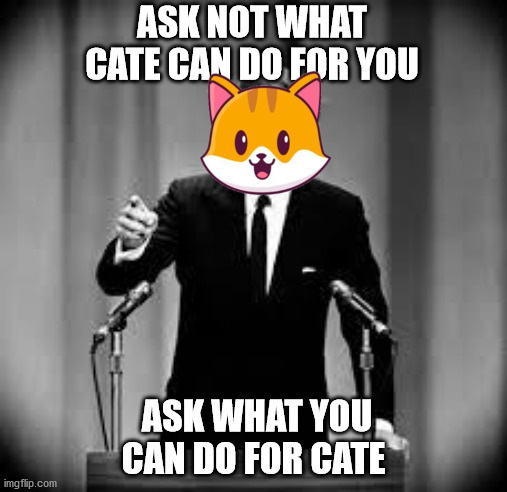 Ask not what CATE can do for you