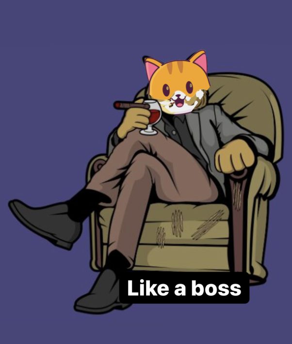 Cate like a boss