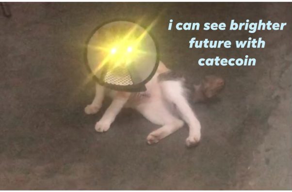 laser eyes cat for the future