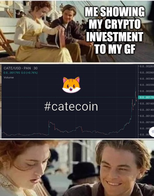 Me showing my crypto investment to my girlfriend