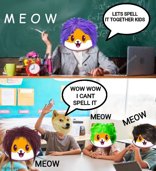 Doge cant spell meow