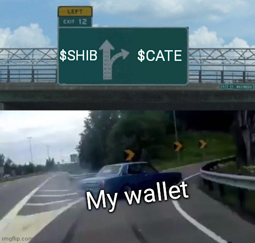 WHAT'S GOING ON SHIB HOLDERS