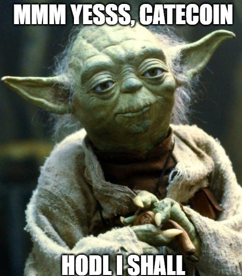 Master Yoda's Sacred Advice – HODL Catecoin