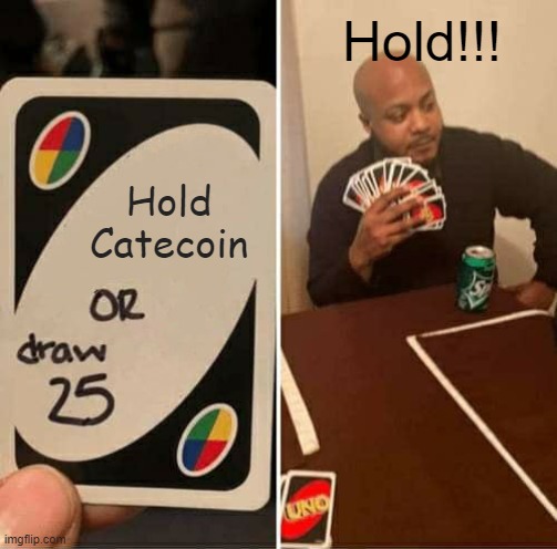 HOLD CATECOIN!!!