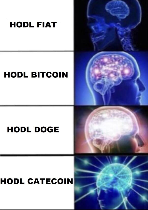 Catecoin Hodlers are Smart