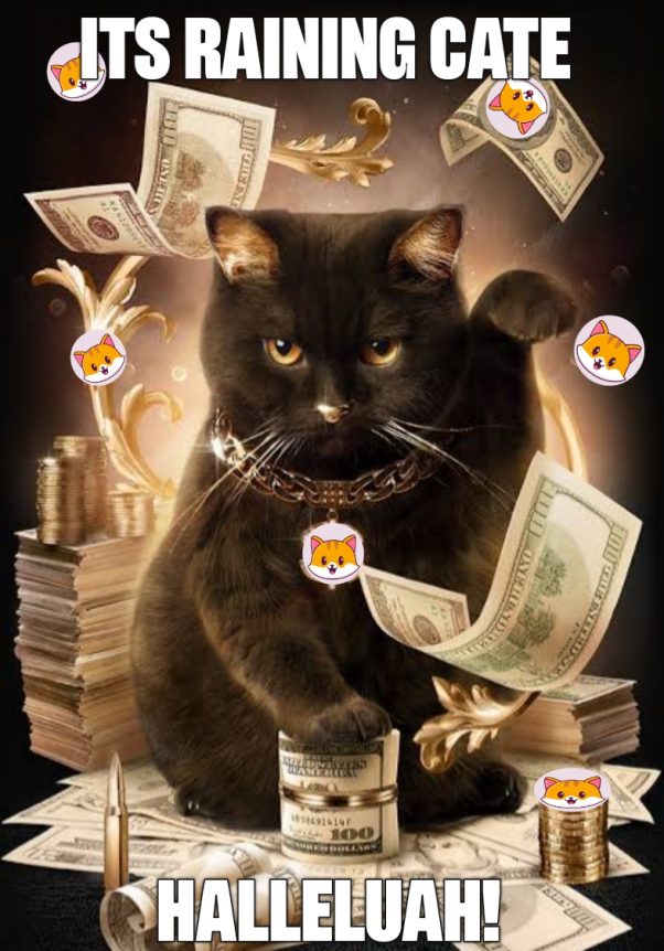 ITS RAINING MONEY WITH CATE