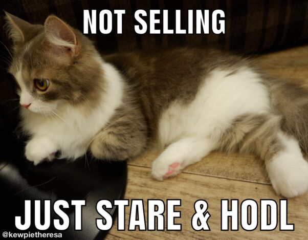 Sit still, look pretty  and HODL
